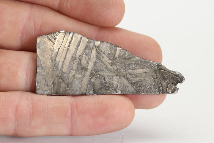 16.1 gram Seymchan Meteorite Slab TZ1296