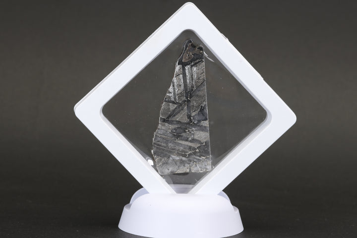 16.1 gram Seymchan Meteorite Slab TZ1296