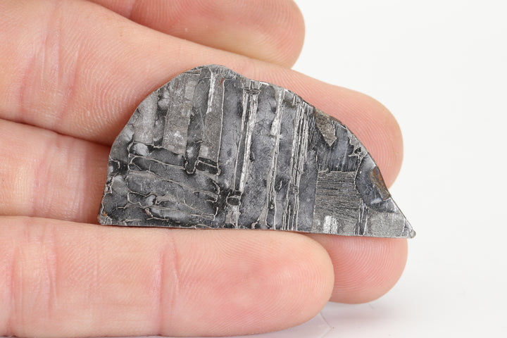 12.5 gram Seymchan Meteorite Slab TZ1299