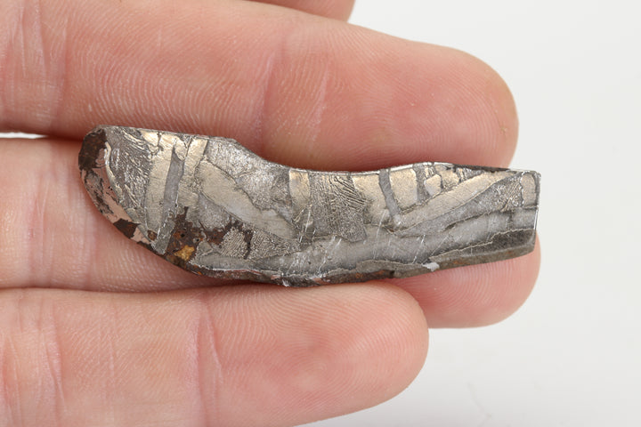 9.1 gram Seymchan Meteorite Slab TZ1300