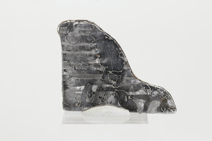 9.2 gram Seymchan Meteorite Slab TZ1303