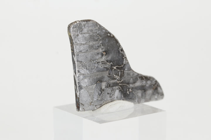 9.2 gram Seymchan Meteorite Slab TZ1303