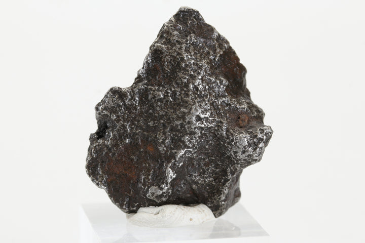 25.2 gram Sikhote-Alin Meteorite TZ1318