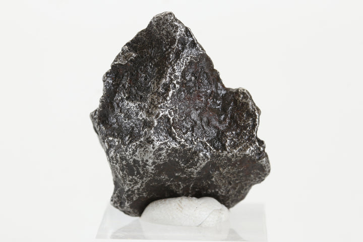 25.2 gram Sikhote-Alin Meteorite TZ1318