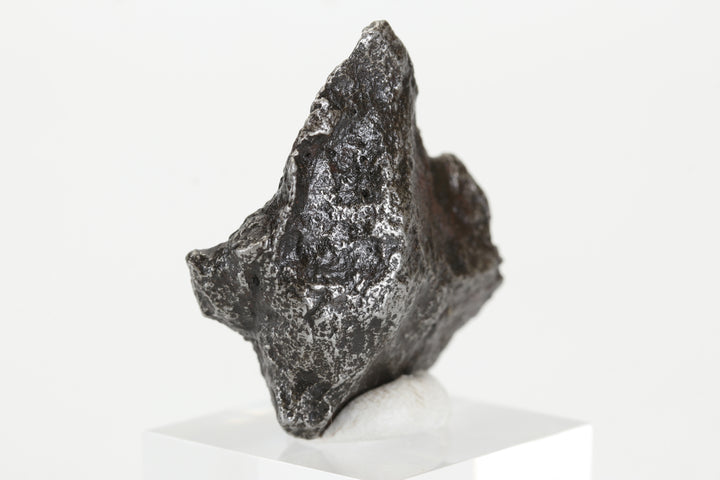 25.2 gram Sikhote-Alin Meteorite TZ1318