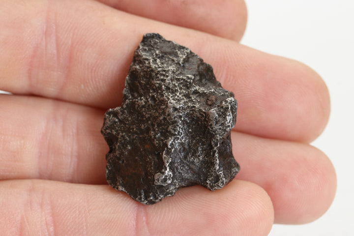 25.2 gram Sikhote-Alin Meteorite TZ1318