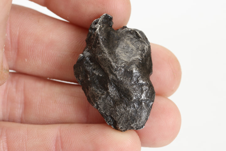 22.1 gram Sikhote-Alin Meteorite TZ1319