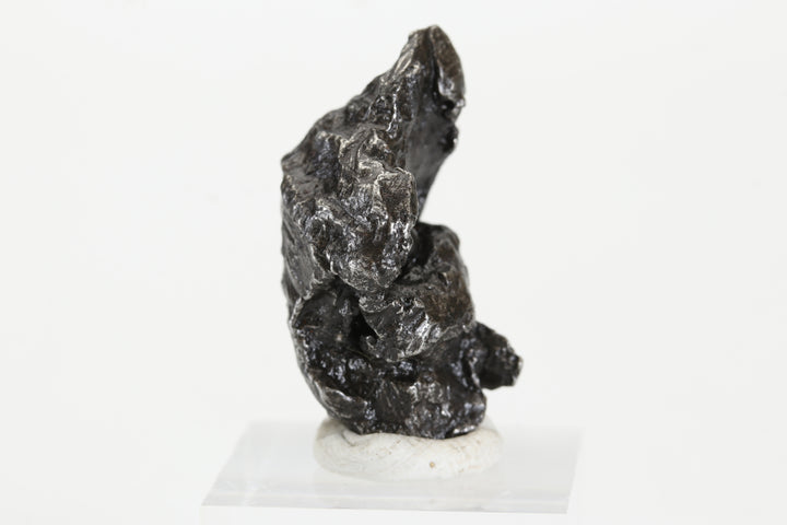 16.1 gram Sikhote-Alin Meteorite TZ1325