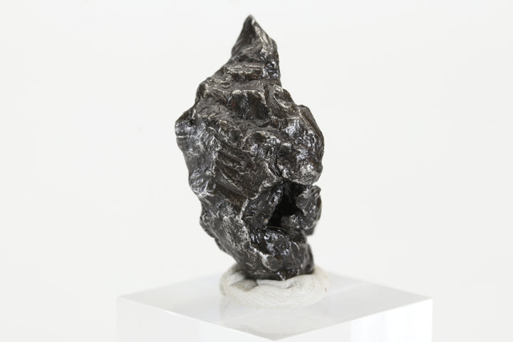 16.1 gram Sikhote-Alin Meteorite TZ1325