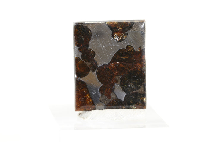 3.8 gram Brahin Meteorite Slab TZ99