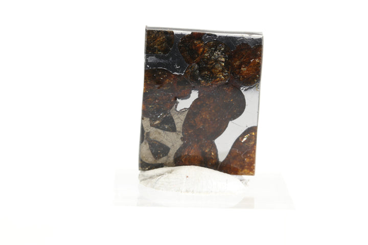 3.8 gram Brahin Meteorite Slab TZ99