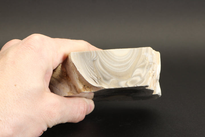 Polish Flint Display DX781