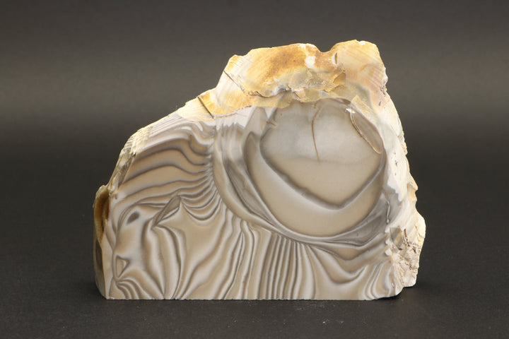 Polish Flint Display DX778