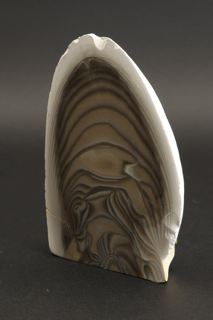 4.5" Polish Flint Display DX491