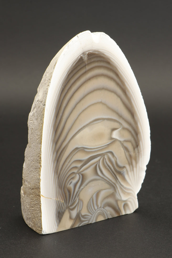 4.5" Polish Flint Display DX491
