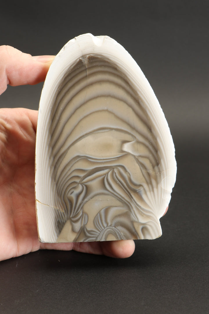 4.5" Polish Flint Display DX491