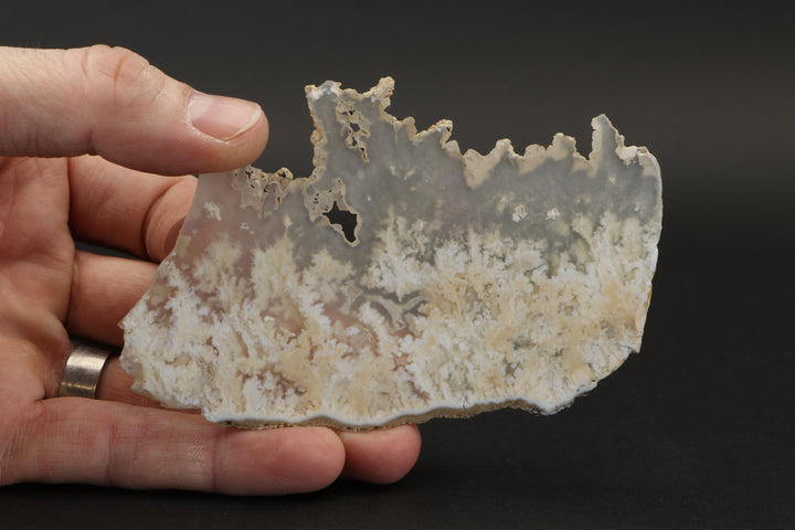 Nydegger Plume Agate Slab DX3493