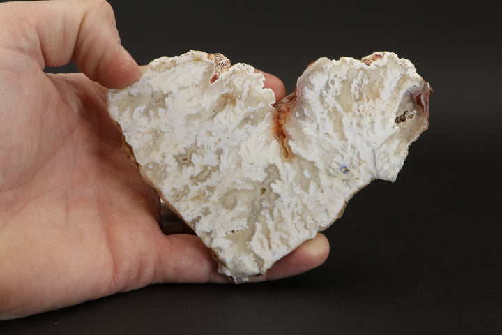 Nydegger Plume Agate Slab DX3494
