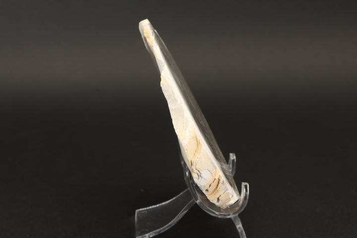 5" Polish Flint Slab DX771