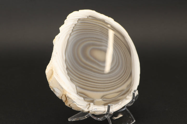 5" Polish Flint Slab DX771