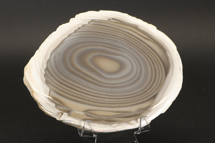 5" Polish Flint Slab DX771