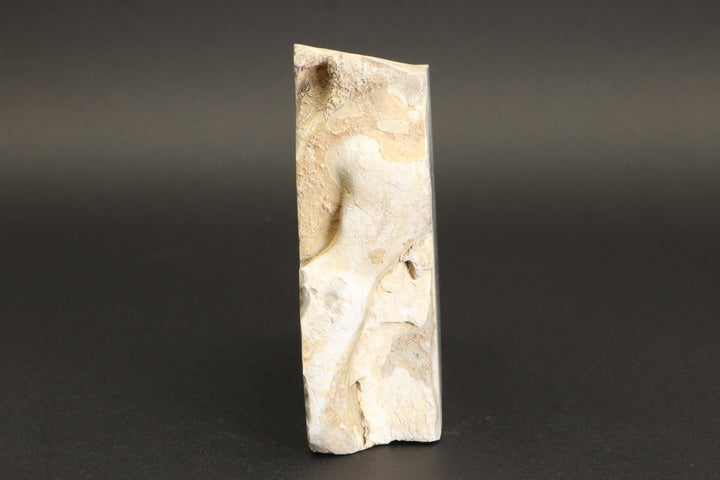 Polish Flint Display DX781