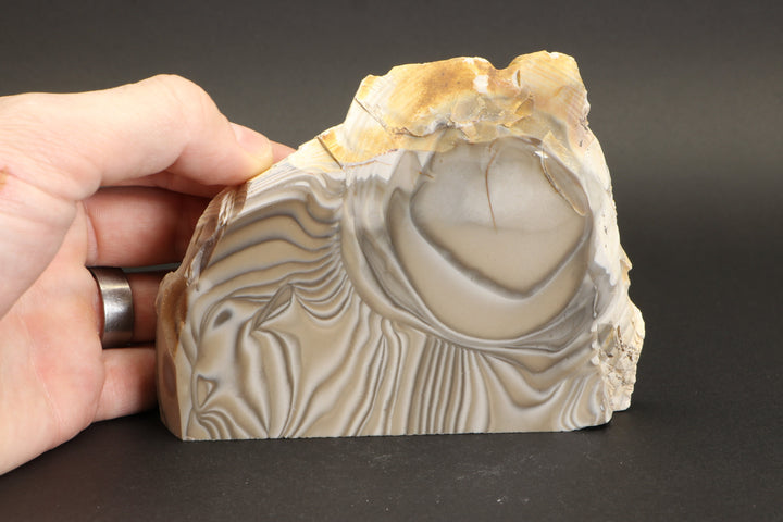 Polish Flint Display DX778