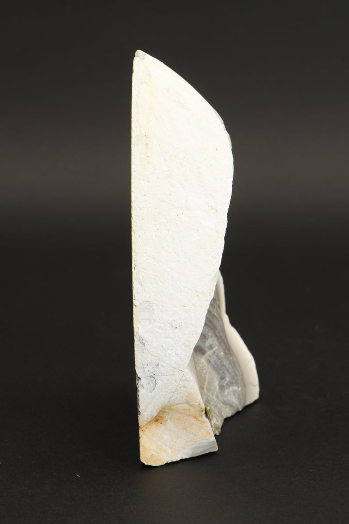 4.5" Polish Flint Display DX491
