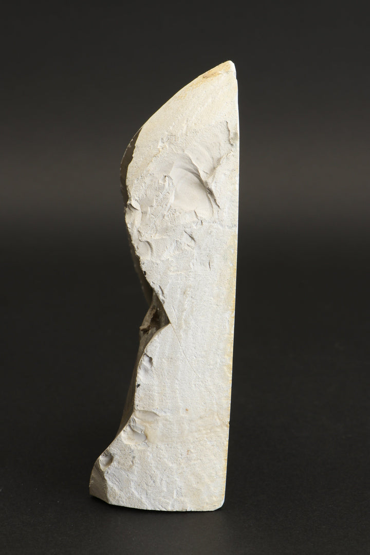 4.5" Polish Flint Display DX491