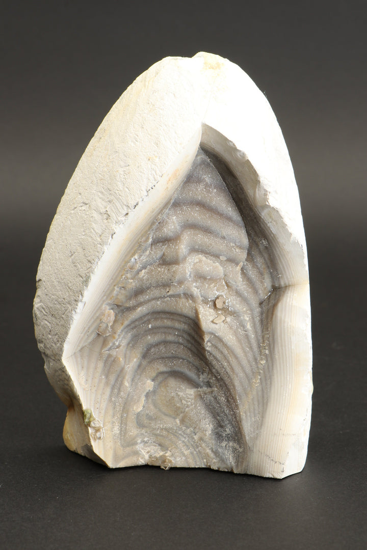 4.5" Polish Flint Display DX491