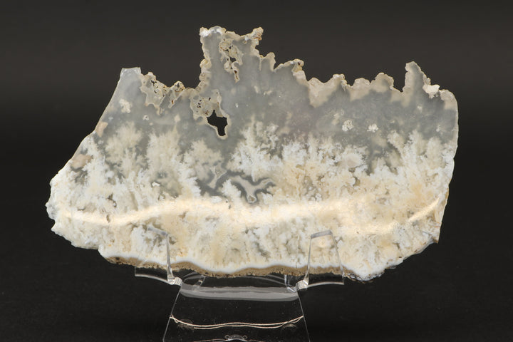 Nydegger Plume Agate Slab DX3493