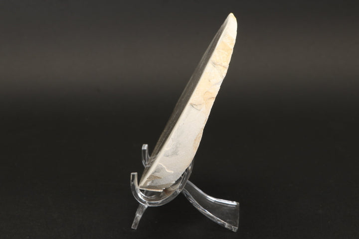 5" Polish Flint Slab DX771
