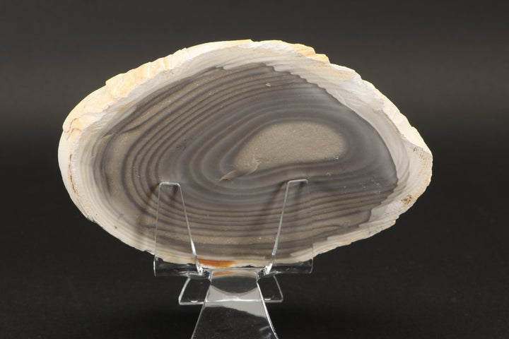 5" Polish Flint Slab DX771