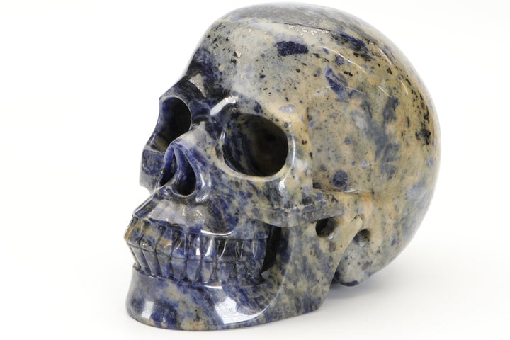 5" Blue and White Sodalite Skull Carving TU2210