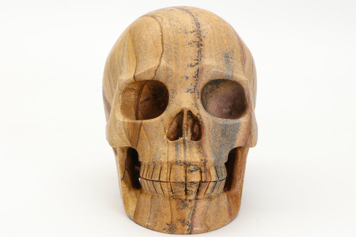 5" Dendritic Siltstone Skull Carving DD3803