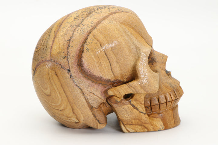 5" Dendritic Siltstone Skull Carving DD3803