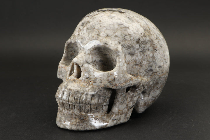 Crinoid Fossil Skull Carving DD1457
