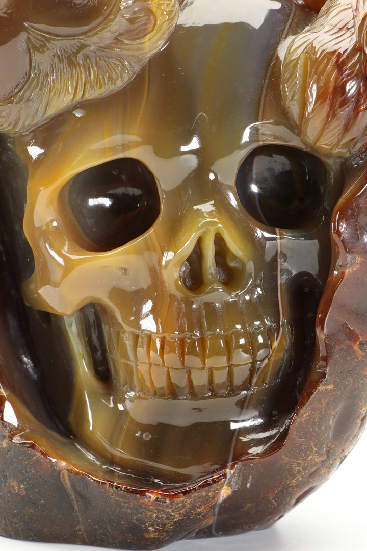 Agate Skull with Monkey Carving DM1197