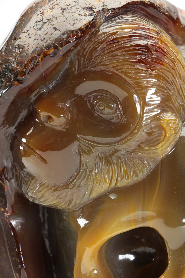 Agate Skull with Monkey Carving DM1197