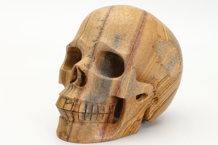 5" Dendritic Siltstone Skull Carving DD3803