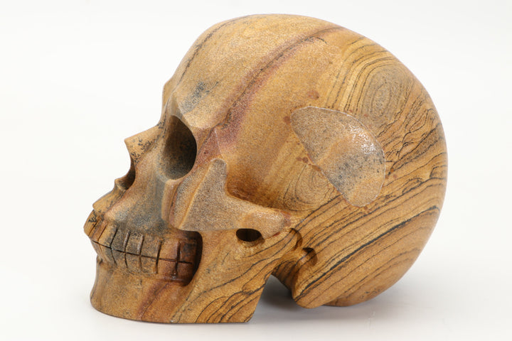 5" Dendritic Siltstone Skull Carving DD3803