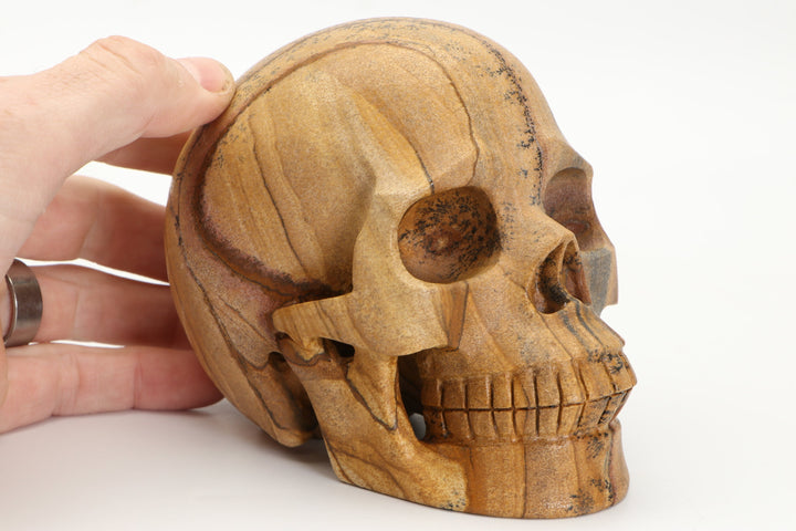5" Dendritic Siltstone Skull Carving DD3803