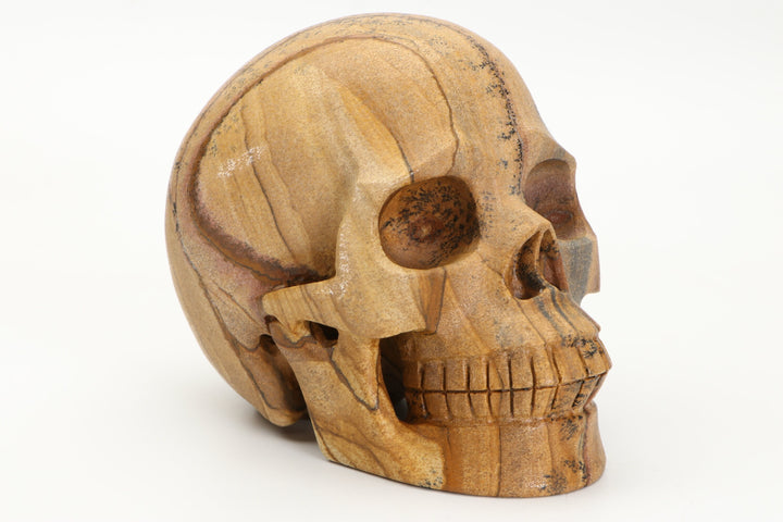 5" Dendritic Siltstone Skull Carving DD3803