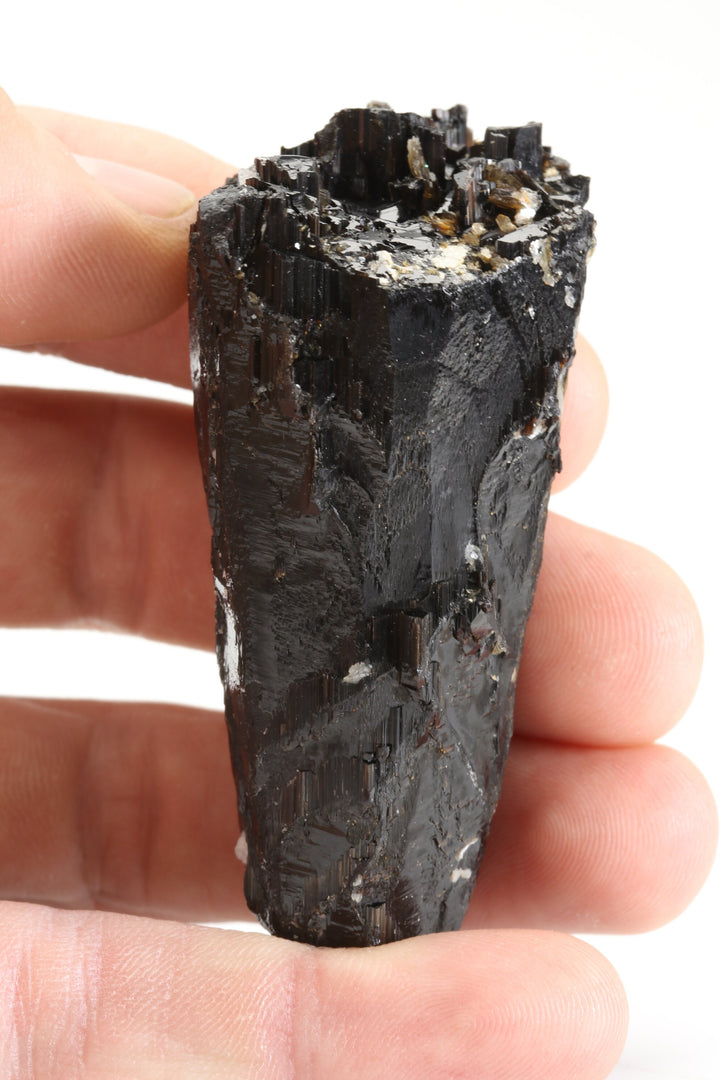 Schorl Specimen - Galileia, Brazil DX2712