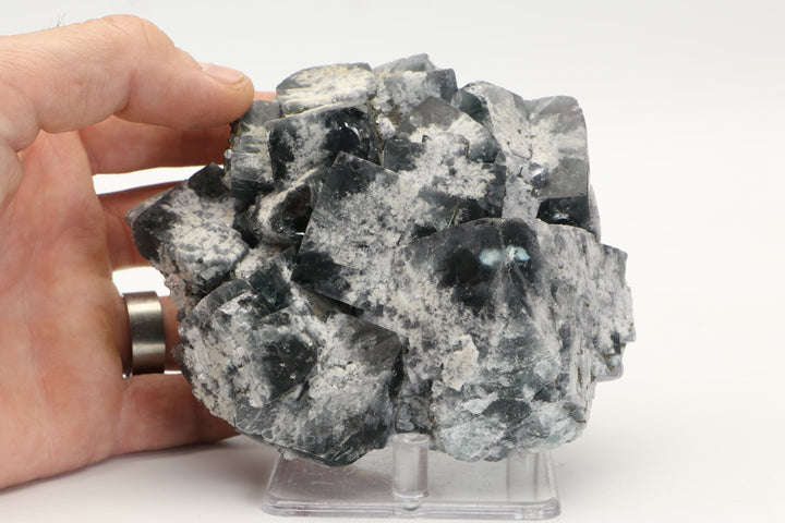 Nigerian Fluorite Specimen DX4277