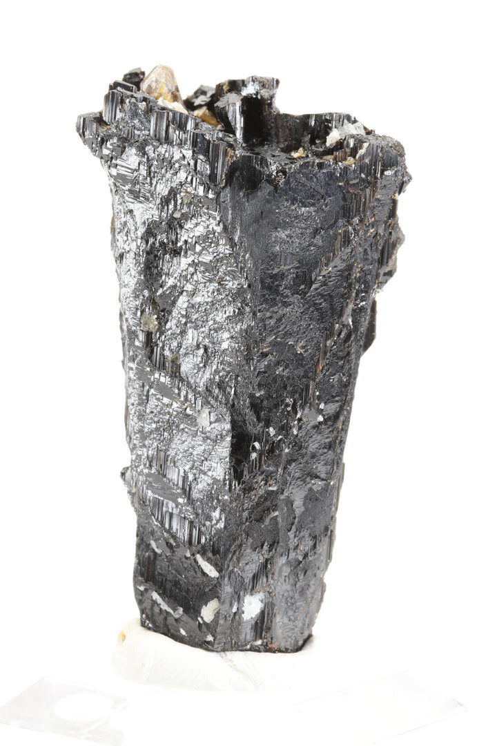 Schorl Specimen - Galileia, Brazil DX2712
