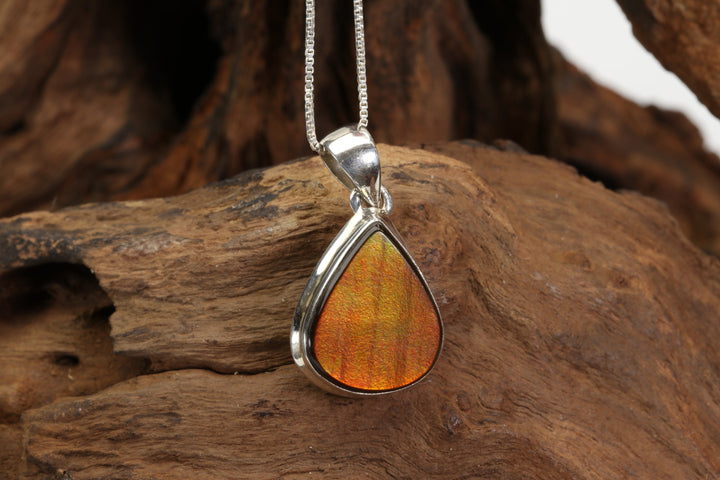 Green and Red Ammolite Sterling Silver Pendant DX4967