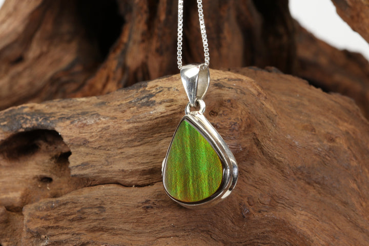 Green and Red Ammolite Sterling Silver Pendant DX4967