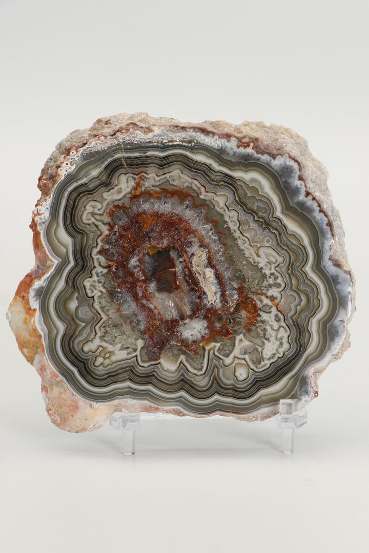 Mexican Crazy Lace Agate Slab DS1019
