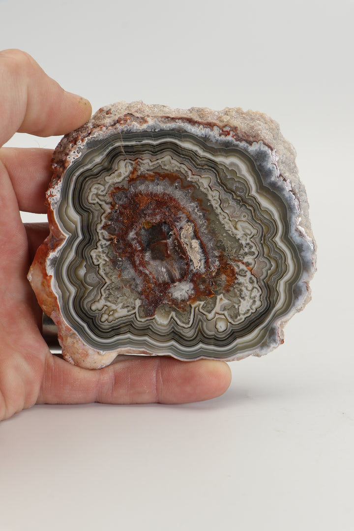 Mexican Crazy Lace Agate Slab DS1019